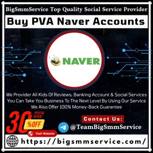 Buy PVA Naver Accounts
